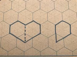 12 timer efter var først hjerter syet - HIT syning