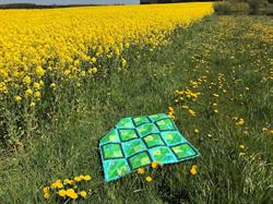 Mange muligheder ud fra samme gratis mønster.