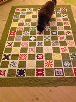 patchwork hund og kat