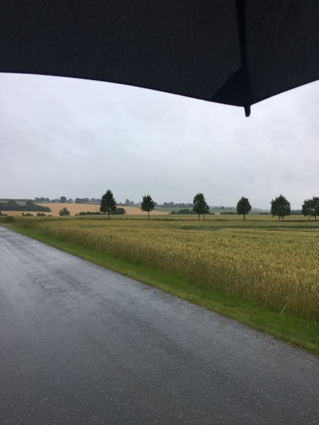 regnvejr i Vejerslev