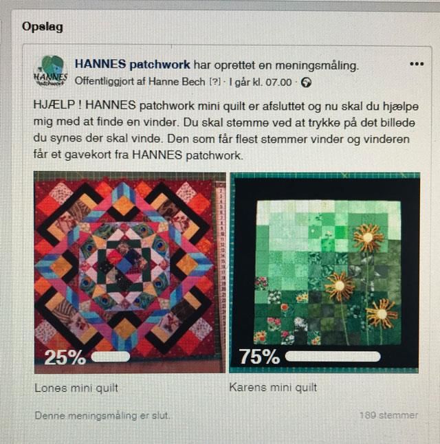 Vinder af mini quilten